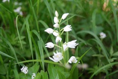 Killikus&reg; Fotographie